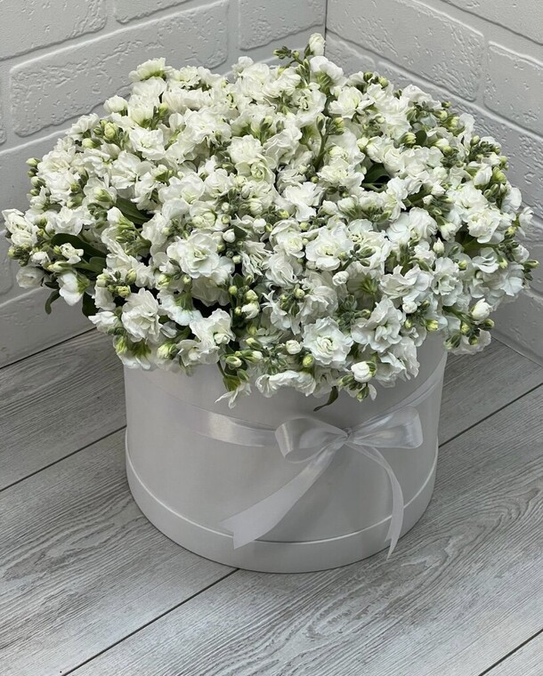 Белоснежная маттиола, артикул F1228405 - 23957 рублей, доставка по городу. Flawery - доставка цветов