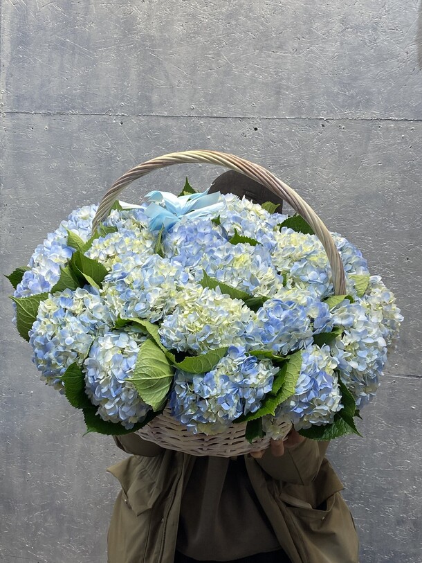 Гортензия в корзине, артикул F1263495 - 26378 рублей, доставка по городу. Flawery - доставка цветов