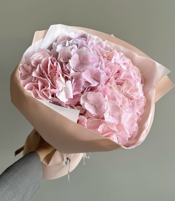 Нежно-розовая гортензия, артикул F1300405 - 4707 рублей, доставка по городу. Flawery - доставка цветов