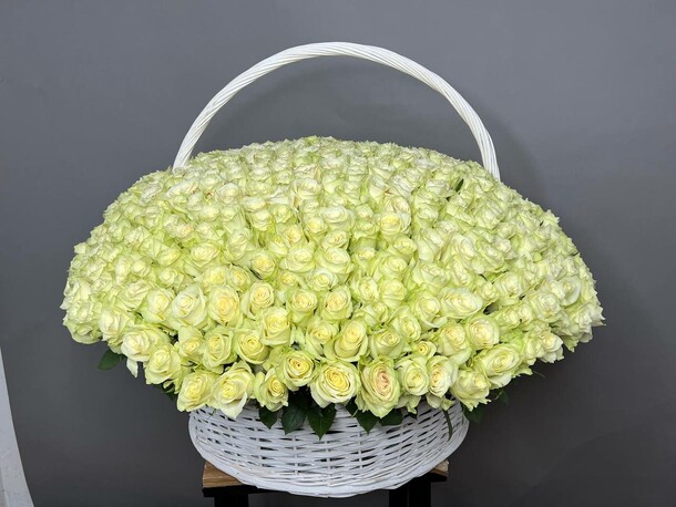 501 белые розы в корзине 😍, артикул F1456164 - 120999 рублей, доставка по городу. Flawery - доставка цветов