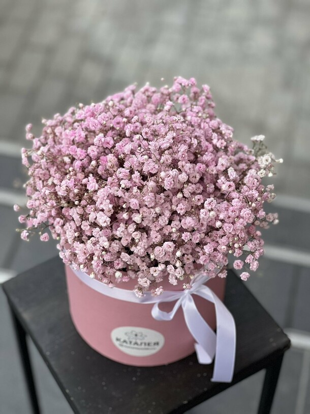 Коробочка из гипсофилы, артикул F1179916 - 4235 рублей, доставка по городу. Flawery - доставка цветов