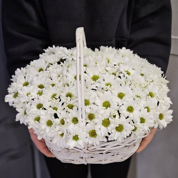 Корзина из ромашковых хризантем, артикул F1240188 - 5720 рублей, доставка по городу. Flawery - доставка цветов