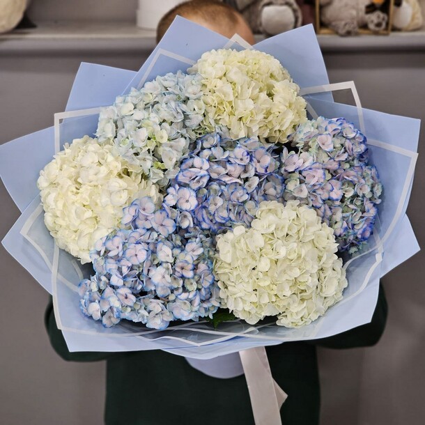 Букет из 7 гортензий в упаковке, артикул F1240192 - 8652 рублей, доставка по городу. Flawery - доставка цветов