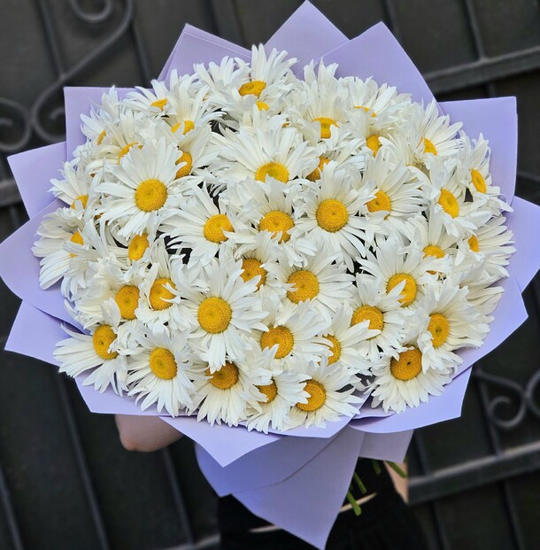 Букет из 51 ромашки, артикул F1436488 - 11501 рублей, доставка по городу. Flawery - доставка цветов