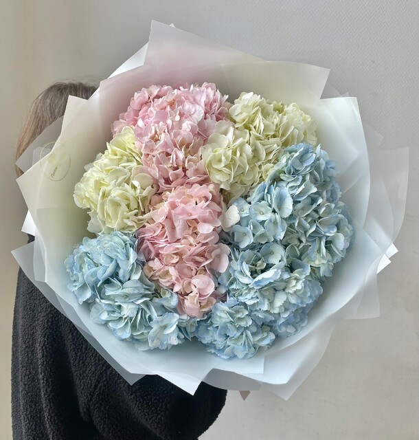 Разноцветные гортензии, артикул F1335404 - 4845 рублей, доставка по городу. Flawery - доставка цветов