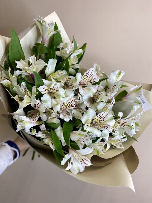 Стойкая альстромерия, артикул F1416468 - 3960 рублей, доставка по городу. Flawery - доставка цветов