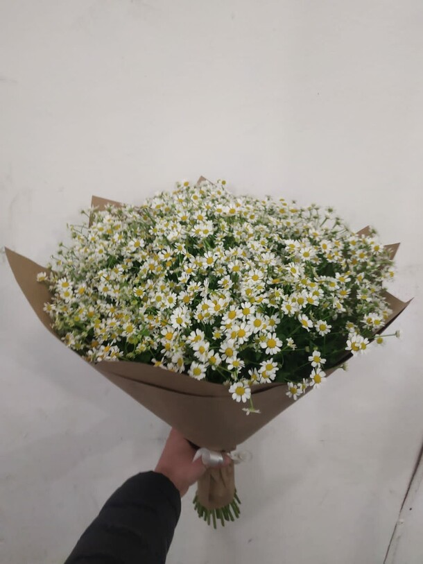 Ромашки, артикул F1165358 - 17545 рублей, доставка по городу. Flawery - доставка цветов