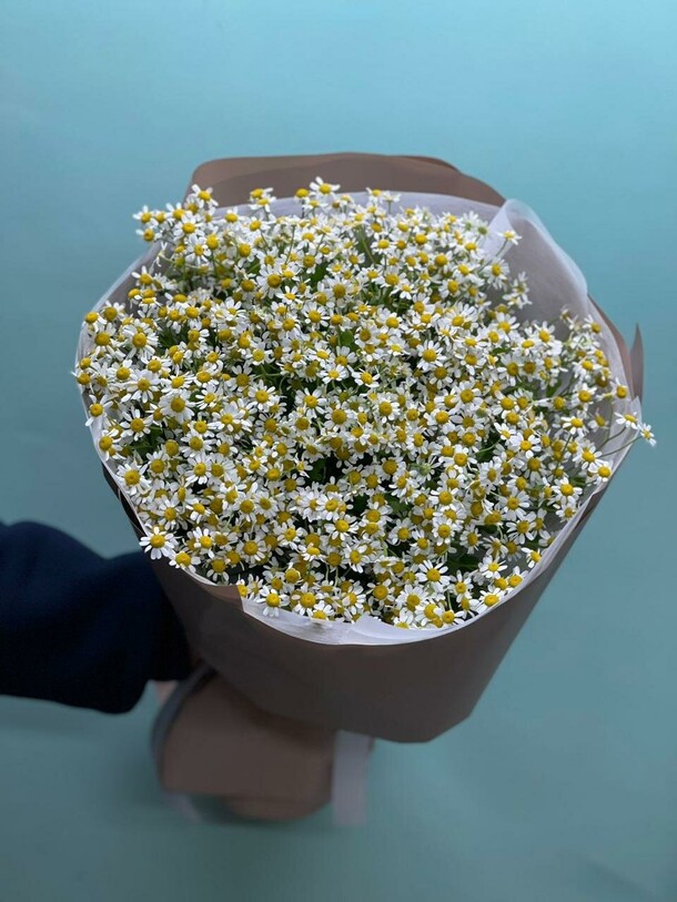 Ромашки, артикул F1168184 - 18150 рублей, доставка по городу. Flawery - доставка цветов