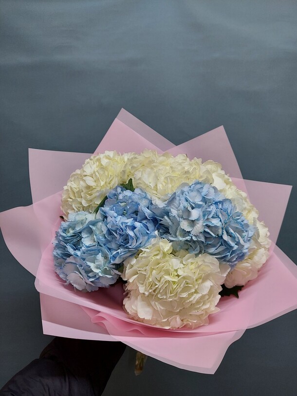 Колумбийская гортензия, артикул F1173081 - 15730 рублей, доставка по городу. Flawery - доставка цветов