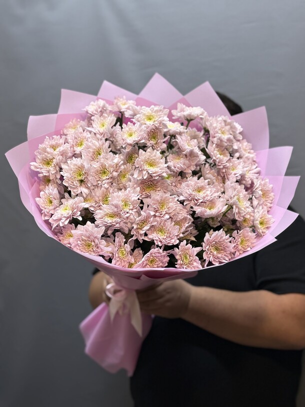 Кустовые хризантемы (15 веток), артикул F1410008 - 8200 рублей, доставка по городу. Flawery - доставка цветов