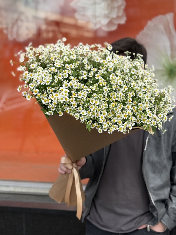 Ромашка полевая (25шт), артикул F1415870 - 8999 рублей, доставка по городу. Flawery - доставка цветов