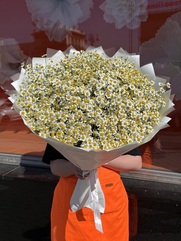 Аромат из ромашек (25 веток), артикул F1422310 - 8600 рублей, доставка по городу. Flawery - доставка цветов