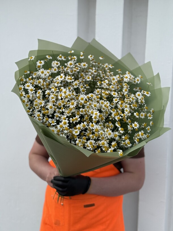 Танацетум 25 веток💚, артикул F1434308 - 7999 рублей, доставка по городу. Flawery - доставка цветов