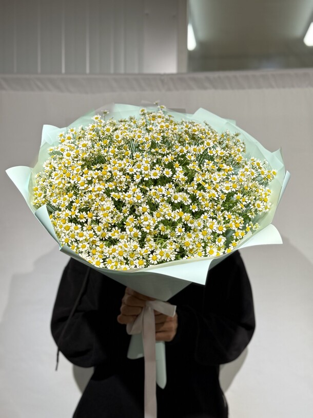 Ромашки из 25 веточек, артикул F1452365 - 7999 рублей, доставка по городу. Flawery - доставка цветов