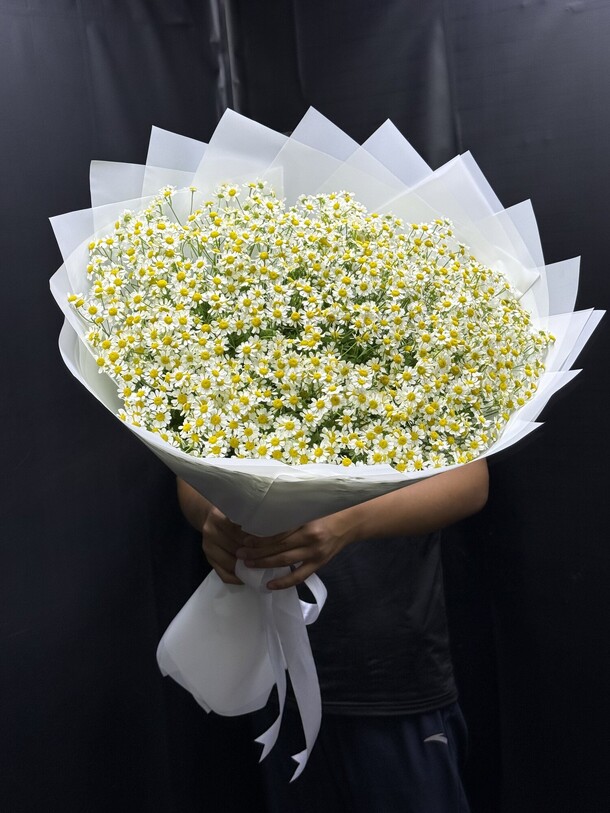 Танацетум 25 веток, артикул F1452372 - 6999 рублей, доставка по городу. Flawery - доставка цветов