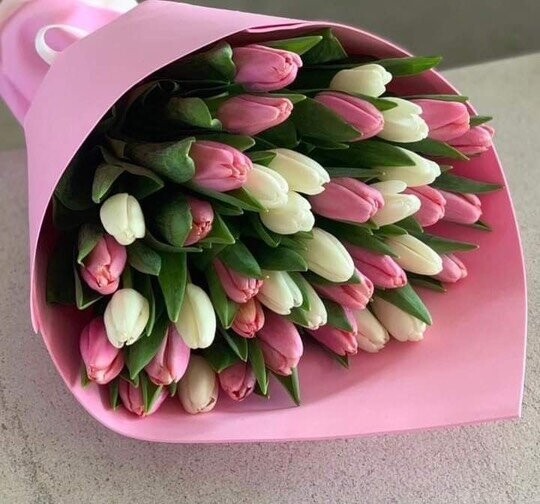 51 бело-розовый тюльпан, артикул F1389041 - 15000 рублей, доставка по городу. Flawery - доставка цветов