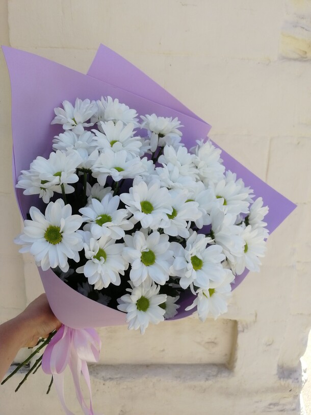 Ромашки.(хризантема), артикул F1216715 - 2500 рублей, доставка по городу. Flawery - доставка цветов