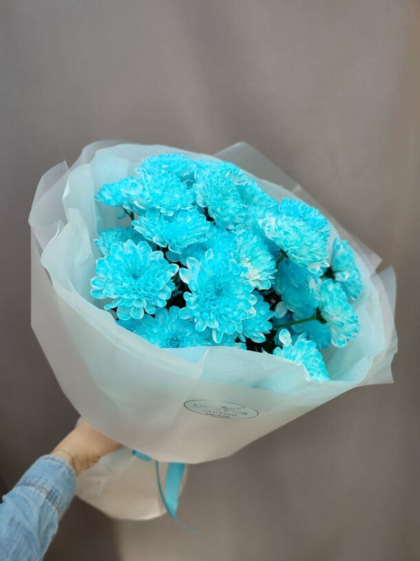 Букет из хризантемы бирюзовый шлейф, артикул F1339672 - 2750 рублей, доставка по городу. Flawery - доставка цветов