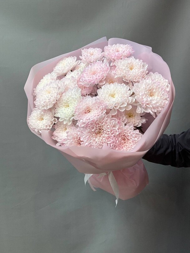 Хризантема пудровая, артикул F1437186 - 2690 рублей, доставка по городу. Flawery - доставка цветов