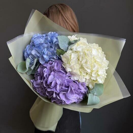 Гортензии акция, артикул F1447496 - 3465 рублей, доставка по городу. Flawery - доставка цветов