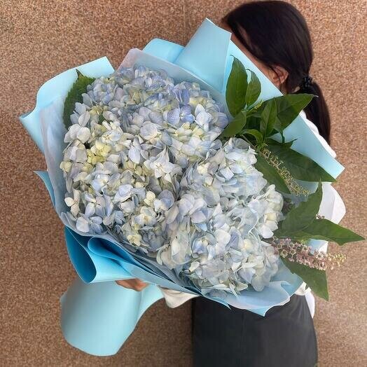 Гортензии голубые, артикул F1448898 - 3302 рублей, доставка по городу. Flawery - доставка цветов