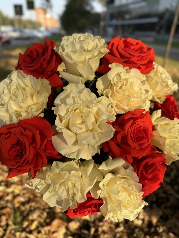 Букет роз классика софи лорен, артикул F1399101 - 7870 рублей, доставка по городу. Flawery - доставка цветов