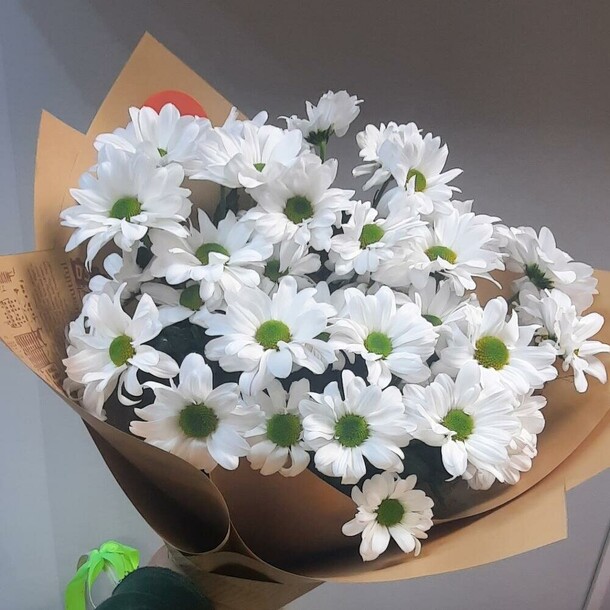 Ромашка кустовая голландская, артикул F1173006 - 3300 рублей, доставка по городу. Flawery - доставка цветов