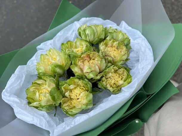 Фисташковое мороженное, артикул F1403401 - 4290 рублей, доставка по городу. Flawery - доставка цветов