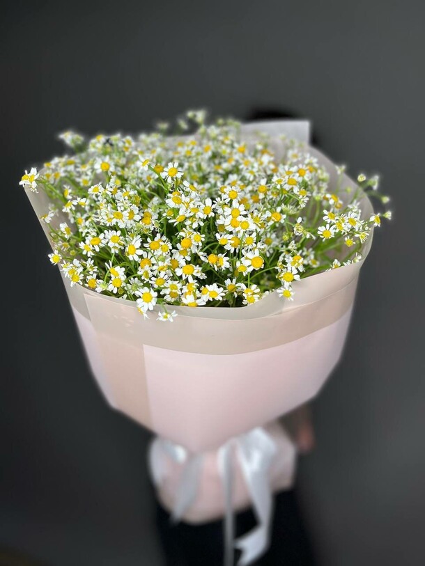 Букет из ромашек, артикул F1374698 - 9900 рублей, доставка по городу. Flawery - доставка цветов