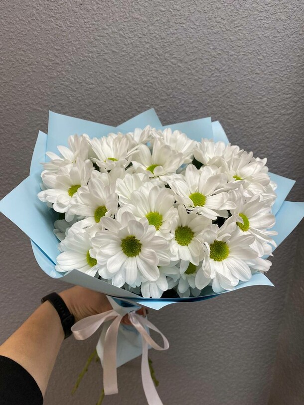 Хризантема кустовая, артикул F1168905 - 3990 рублей, доставка по городу. Flawery - доставка цветов