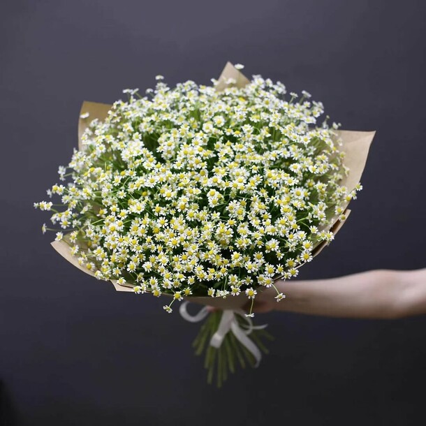 Полевые ромашки, артикул F1185137 - 4871 рублей, доставка по городу. Flawery - доставка цветов