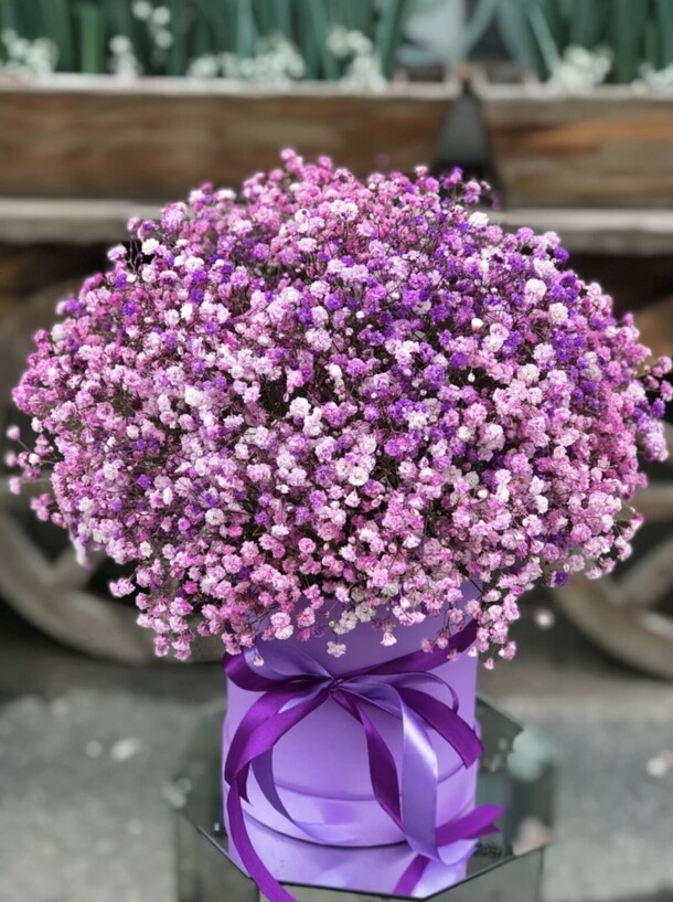 Коробочка «облако гипсофилы», артикул F1249381 - 8500 рублей, доставка по городу. Flawery - доставка цветов