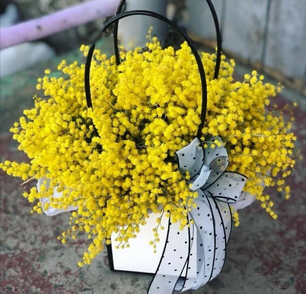 Мимоза, артикул F1101080 - 4320 рублей, доставка по городу. Flawery - доставка цветов