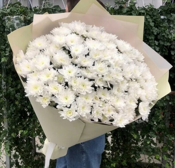 Махровые хризантемы, артикул F1122120 - 12298 рублей, доставка по городу. Flawery - доставка цветов