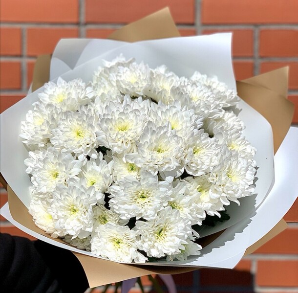 Хризантема, артикул F1122121 - 5710 рублей, доставка по городу. Flawery - доставка цветов