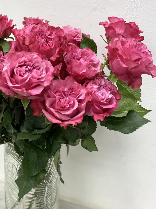 Роза одноголовая 5 шт, артикул F1306973 - 2900 рублей, доставка по городу. Flawery - доставка цветов