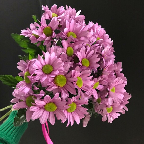 Букет хризантем, артикул F1260895 - 2500 рублей, доставка по городу. Flawery - доставка цветов