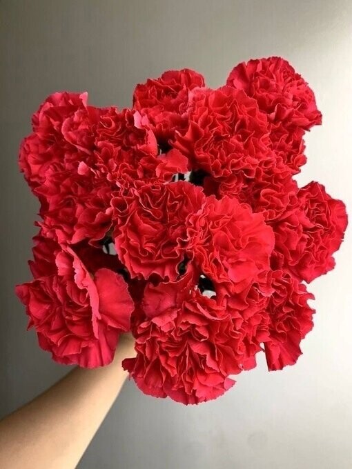 Букет " победа", артикул F1281644 - 1990 рублей, доставка по городу. Flawery - доставка цветов