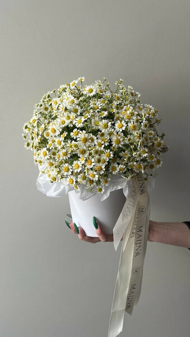 Ромашковое поле, артикул F1293897 - 2300 рублей, доставка по городу. Flawery - доставка цветов