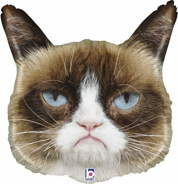 Воздушный шар сердитый кот, артикул F1410569 - 1400 рублей, доставка по городу. Flawery - доставка цветов