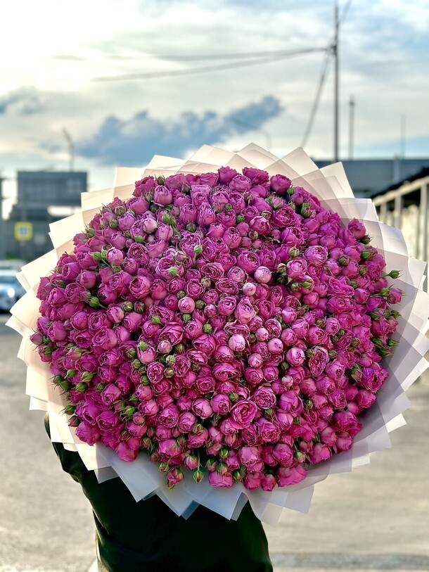 101 кустовая роза, артикул F1300762 - 73206 рублей, доставка по городу. Flawery - доставка цветов