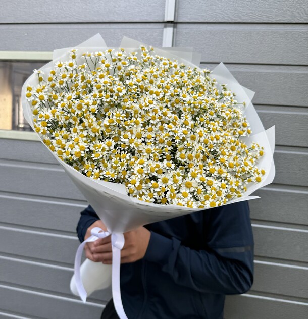 Ромашка для любимой 💕, артикул F1303434 - 14495 рублей, доставка по городу. Flawery - доставка цветов