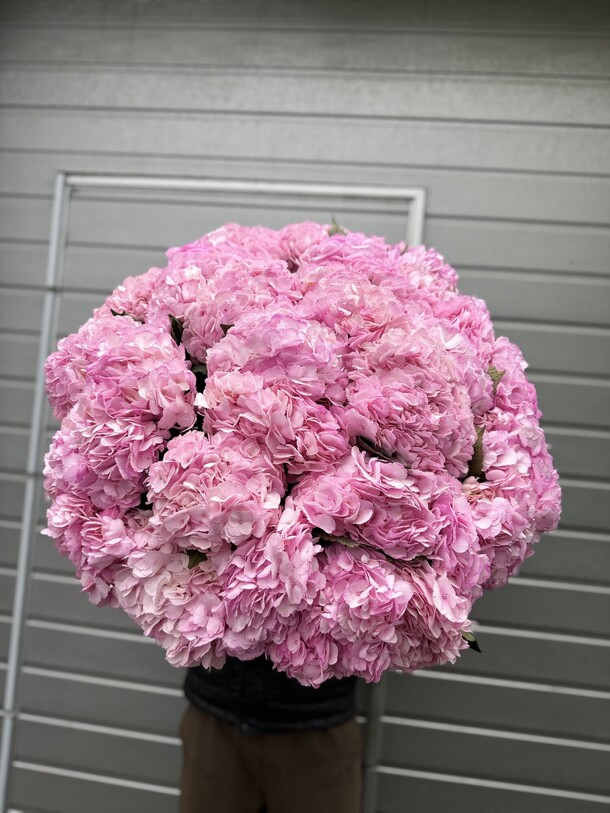 Гортензия для любимой 💕, артикул F1314033 - 40263 рублей, доставка по городу. Flawery - доставка цветов