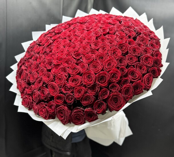 Алые розы 🌹🫶, артикул F1344099 - 73206 рублей, доставка по городу. Flawery - доставка цветов