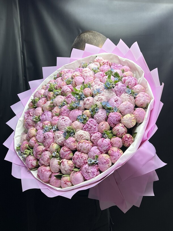 Пионы сара бернар 101шт, артикул F1361157 - 161051 рублей, доставка по городу. Flawery - доставка цветов