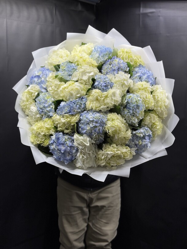 Гортензия 31шт, артикул F1407002 - 37041 рублей, доставка по городу. Flawery - доставка цветов