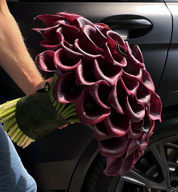 51 черная калла, артикул F1208498 - 30000 рублей, доставка по городу. Flawery - доставка цветов