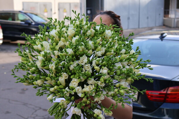 151 белая фрезия, артикул F1216556 - 35000 рублей, доставка по городу. Flawery - доставка цветов