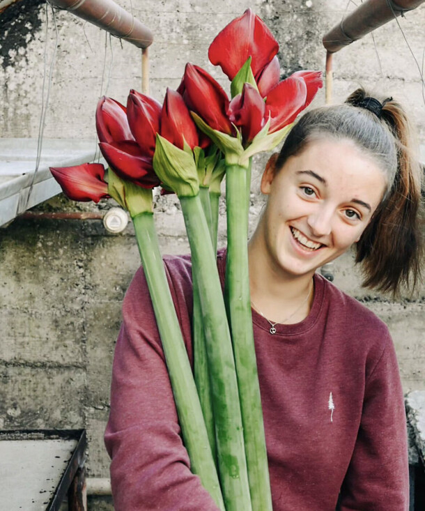 Букер из 7 красных амариллисов, артикул F1233712 - 8500 рублей, доставка по городу. Flawery - доставка цветов