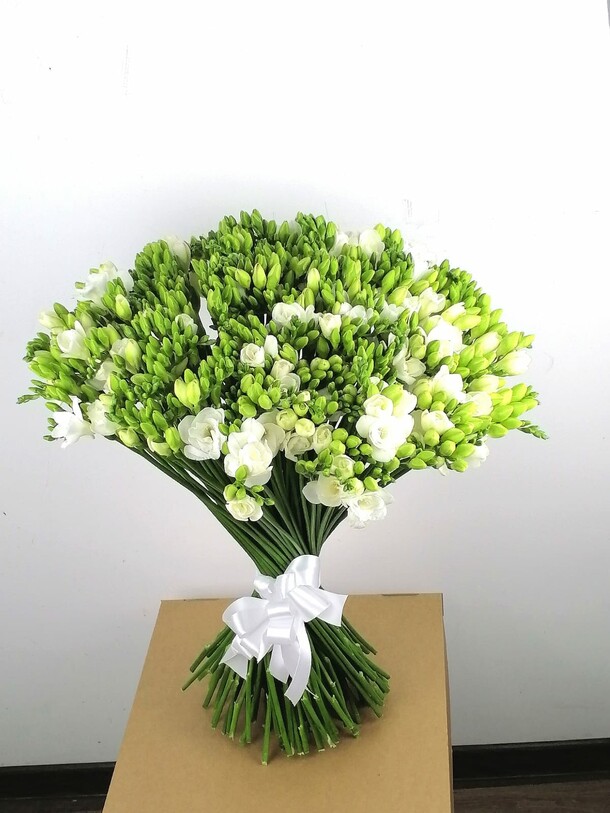 101 белая фрезия, артикул F1247787 - 24900 рублей, доставка по городу. Flawery - доставка цветов